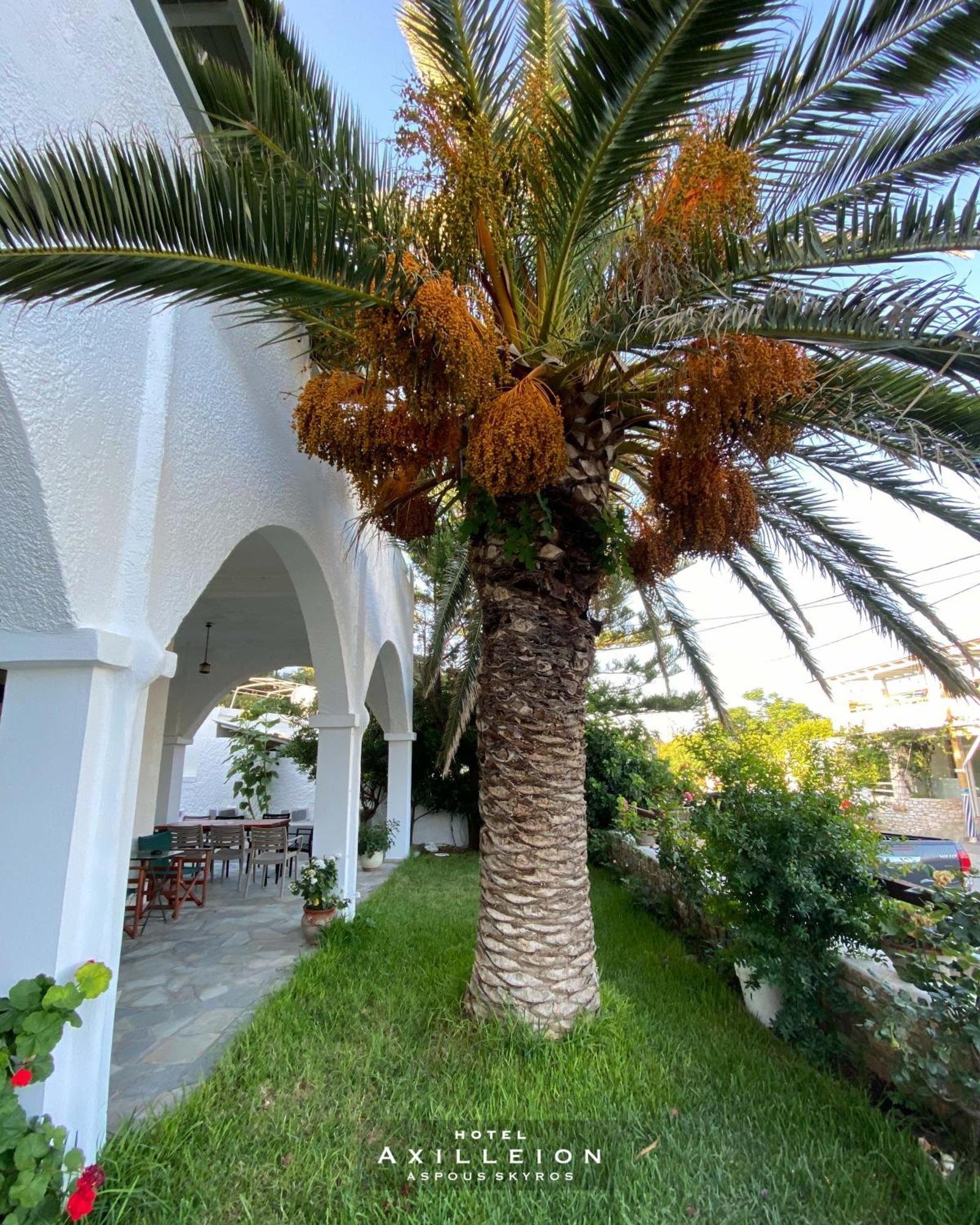 Achilleion Hotel Skyros Exteriör bild